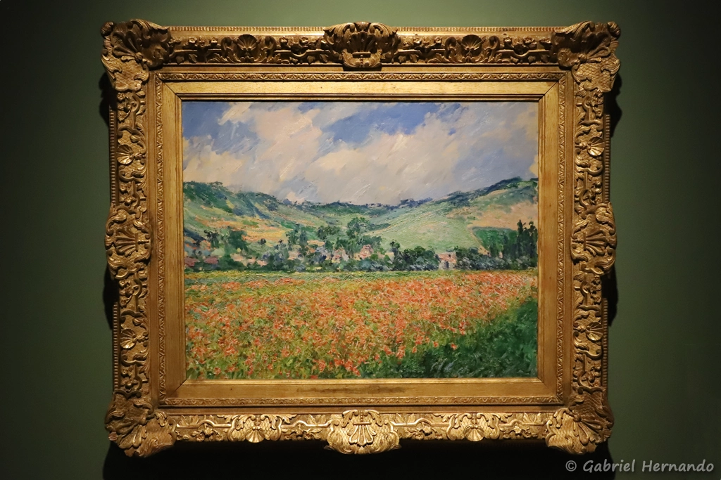Champs de coquelicots, Environs de Giverny
