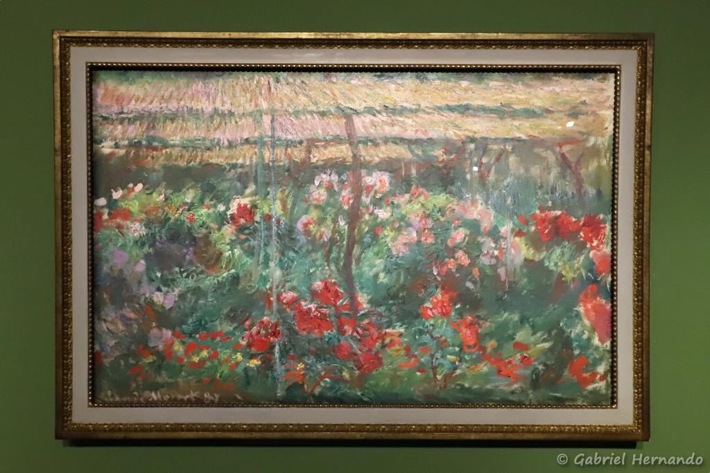 Pivoines