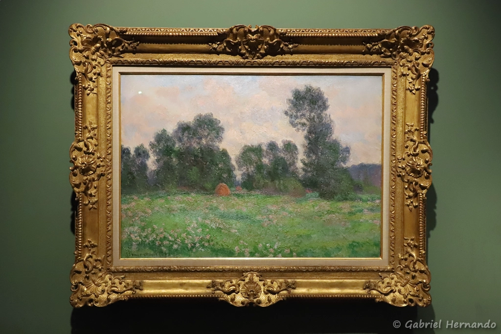 Prairies à Giverny