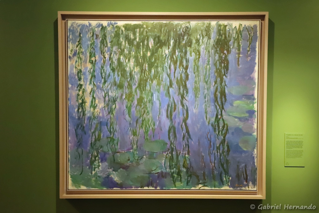 Nymphéas avec rameaux de saule