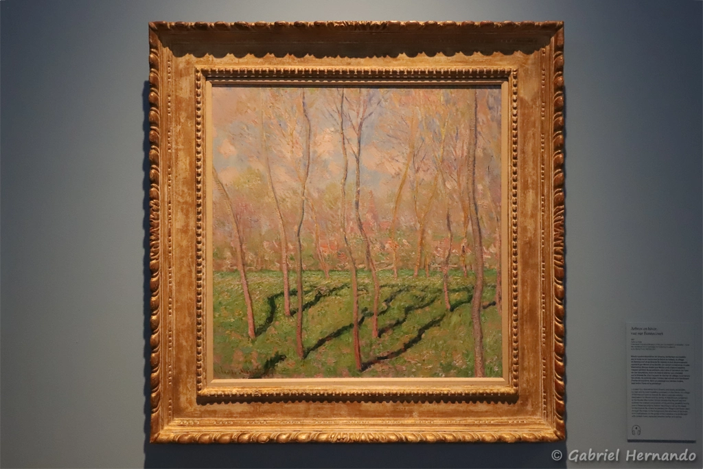 Arbres en hiver, vue sur Bennecourt