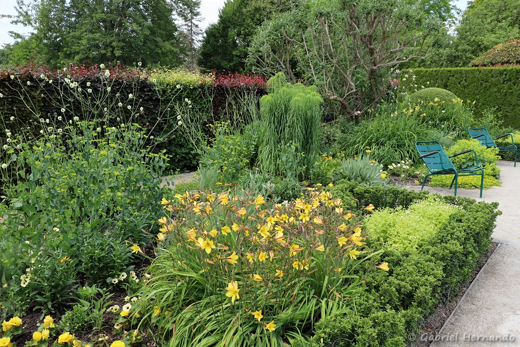 Le jardin teinté de jaune