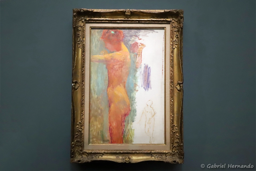 Etudes de nus - Pierre Bonnard
