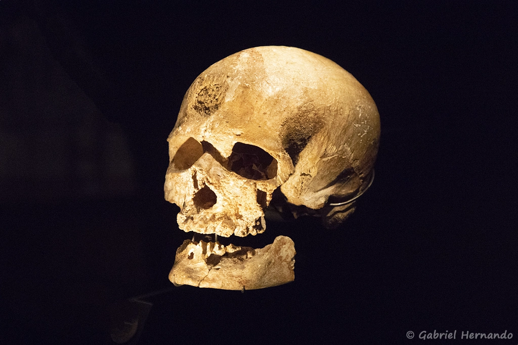 Cro-Magnon I