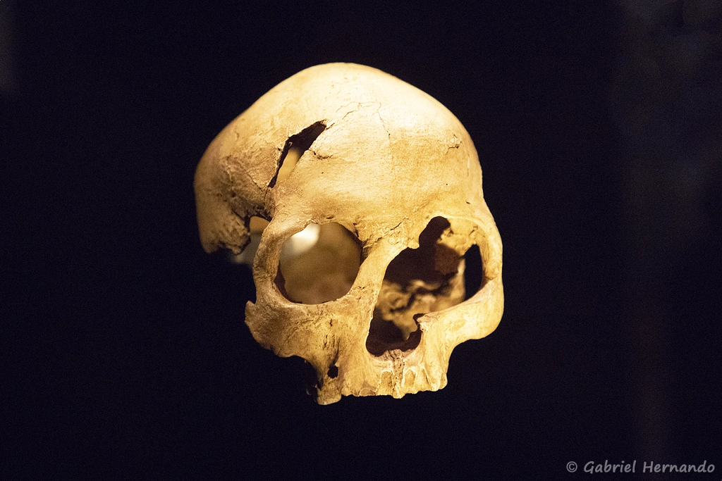 Cro-Magnon II