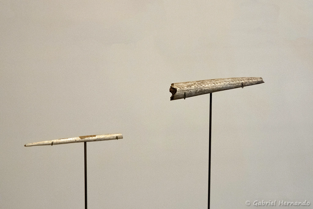 Pointes de sagaie