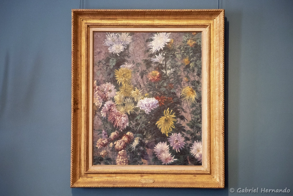 Chrysanthèmes Blancs et Jaunes, Jardins du Petit Gennevilliers