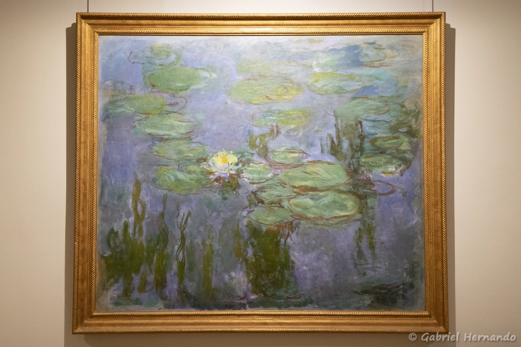 Nymphéas