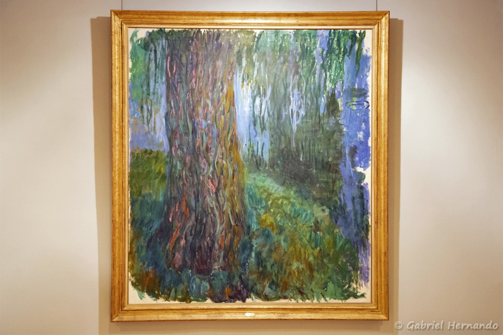 Saule pleureur et bassin aux Nymphéas