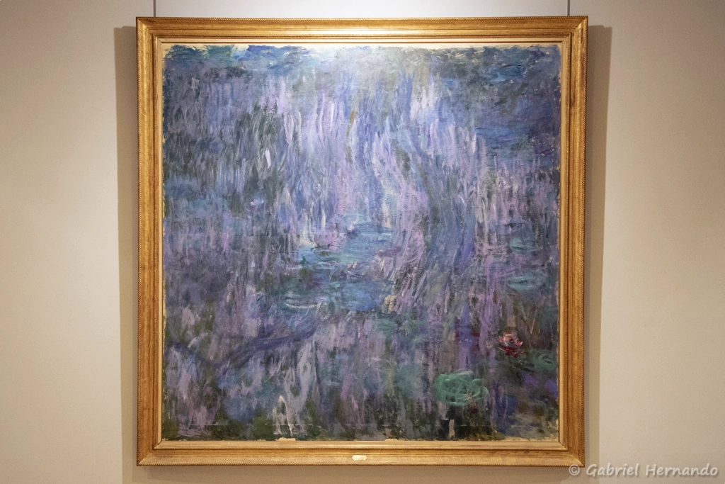 Nymphéas. Reflet de saule