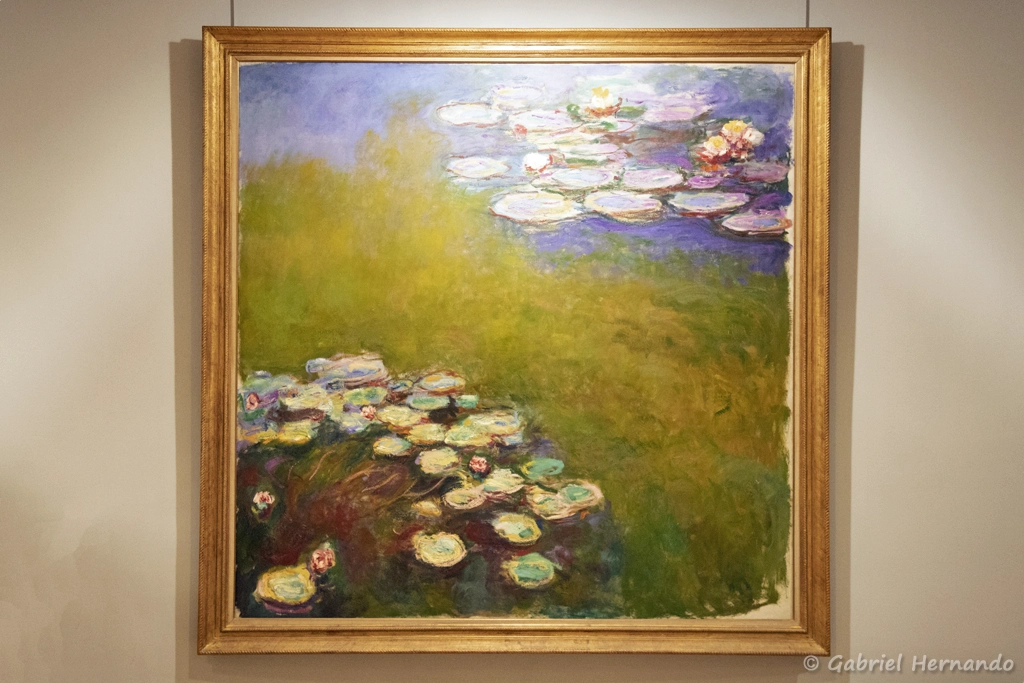 Nymphéas