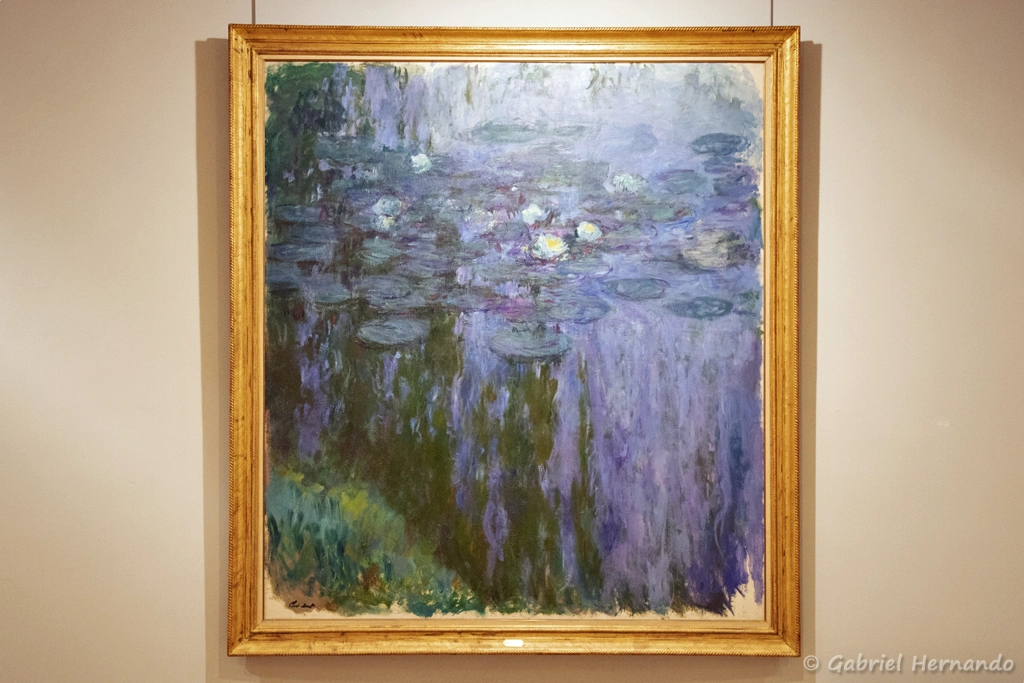 Nymphéas