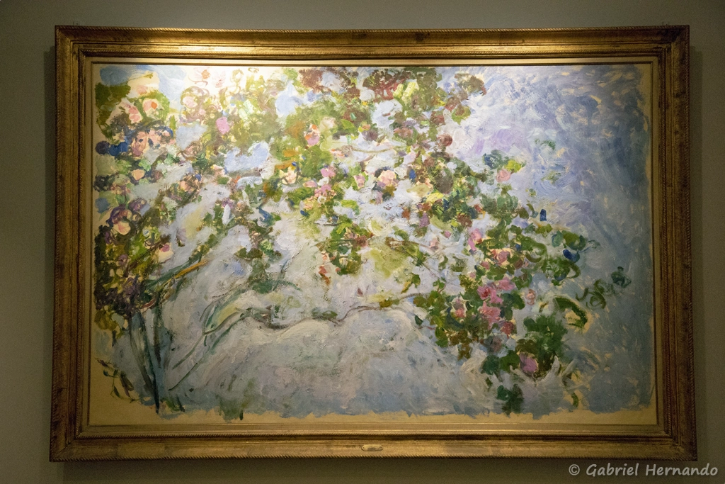 Les roses