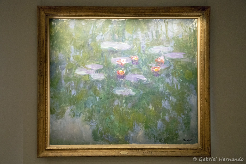 Nymphéas