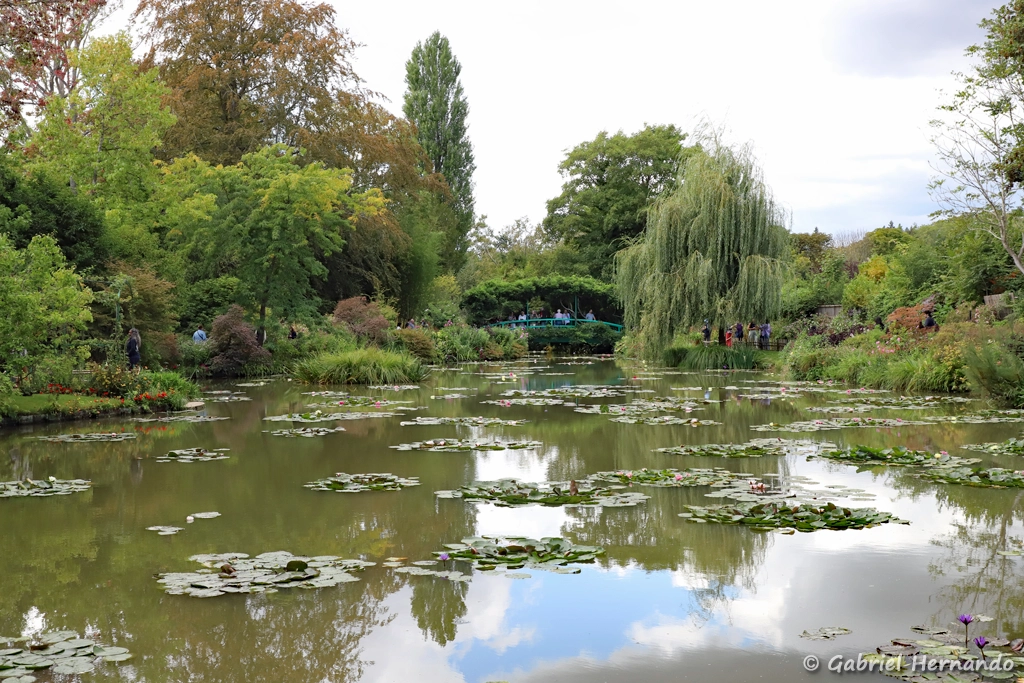 Le jardin d'eau, avec le pont japonais et les nénuphars