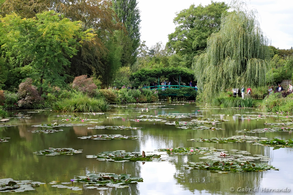 Le jardin d'eau, avec le pont japonais et les nénuphars