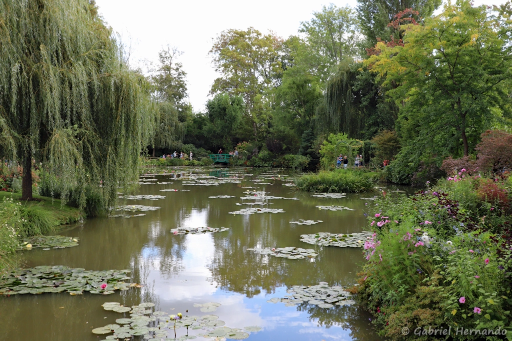 Le jardin d'eau, depuis le pont japonais