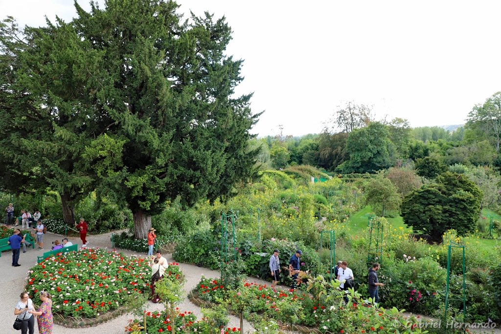 Vue sur le jardin, depuis la chambre de Monet