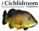 The Cichlidroom Companion