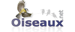 Oiseaux.net