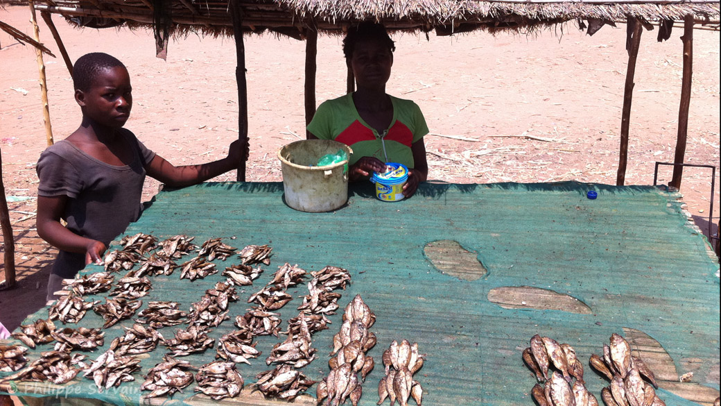 Stand de vente de poisson (pour l'alimentation), à Nkopola