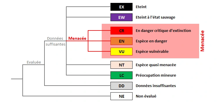 Critères de classification des espèces de la liste rouge de l'UICN