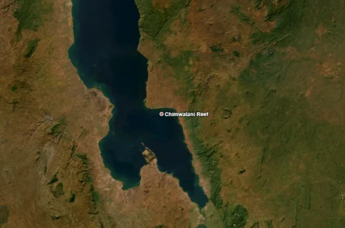 Carte satellite de Chimwalani Reef