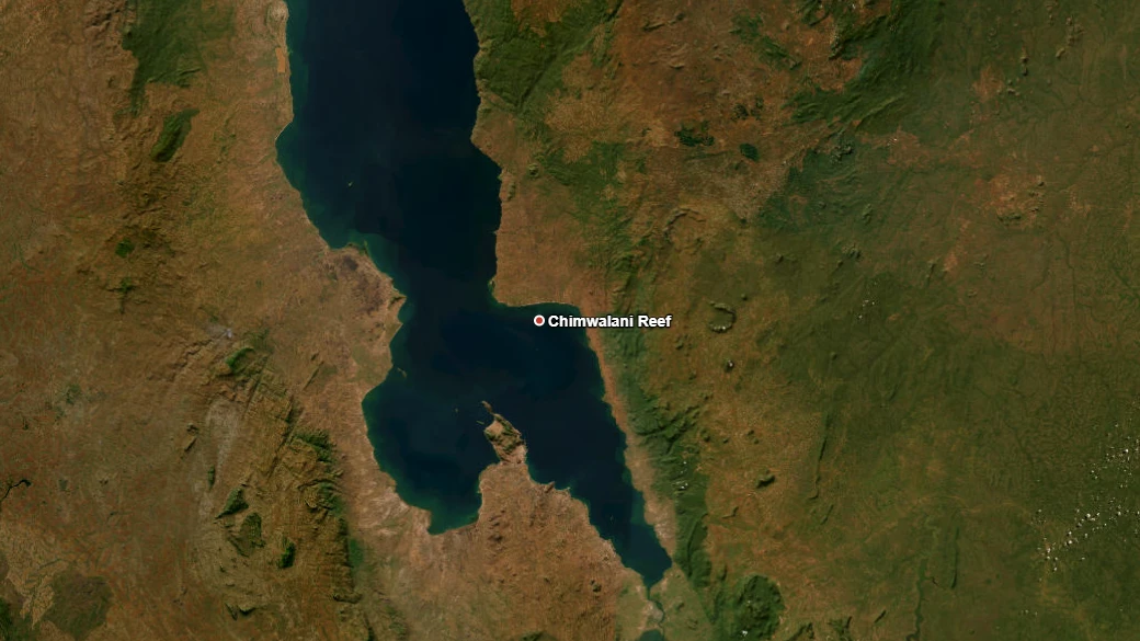 Carte satellite de Chimwalani Reef