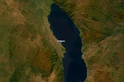 Carte satellite de Ngara